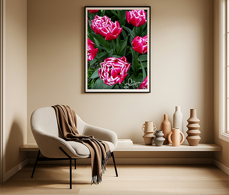 Tulips at K
